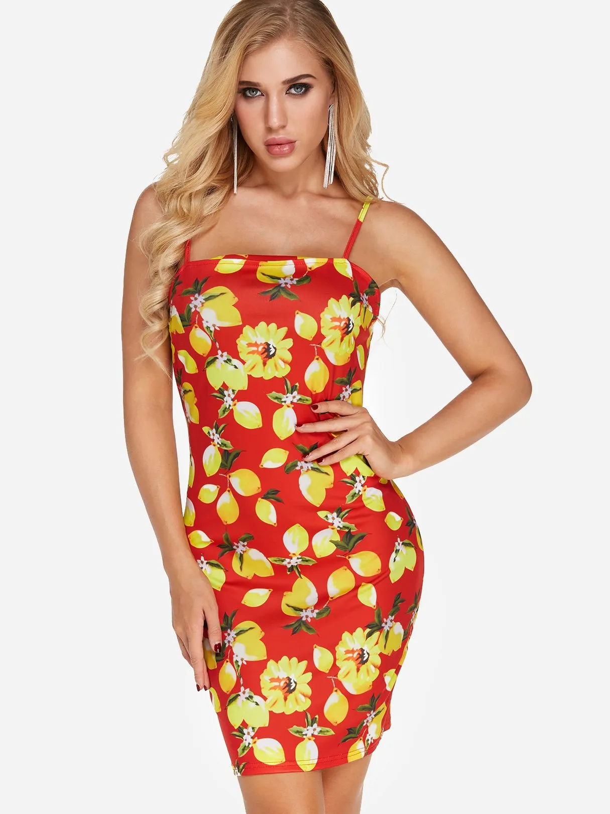 Wholesale Red Sleeveless Floral Print Zip Back Backless Dresses